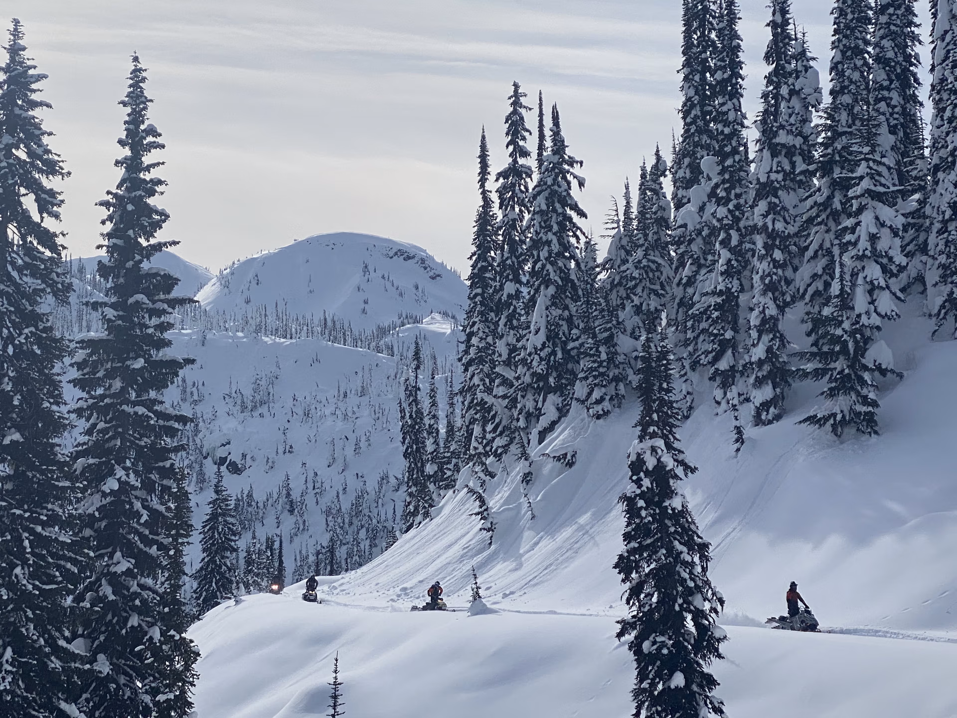 revelstoke guided snowmobile tours