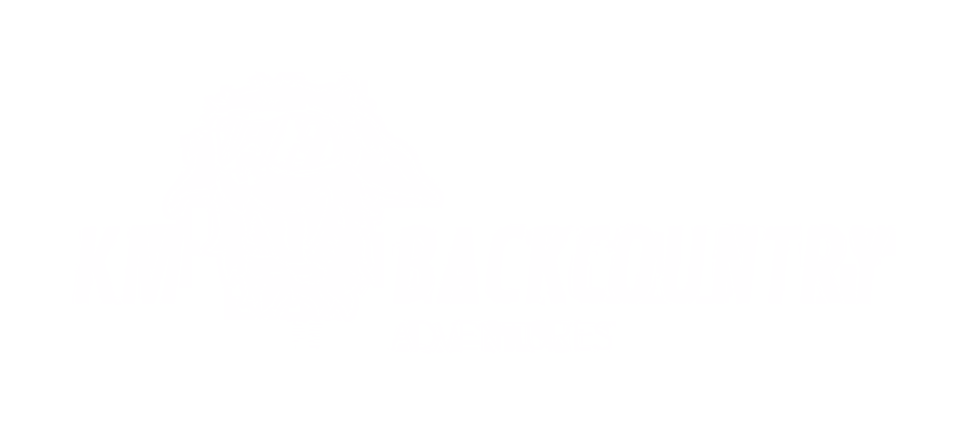 Primary logo in white
